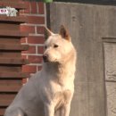삼거리 이미지
