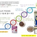 화학비료도 당밀과 미생물로 발효해야 하는 이유- 구글 AI 이미지