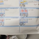 홍가 | 50대 역류성 식도염·장상피화생, 무설탕 홍매실 퓌레 홍가향 후기