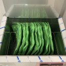 잠실본마취통증의학과의원 이미지