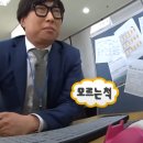 PAWS N PAWS(포즈앤포즈) | 하와이 하나우마베이(Hanauma Bay) 스노클링, 카이 전망대(kai lookout) 다녀온 후기