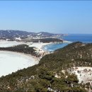 호수와 소나무 이미지