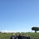 동창카서비스 | [8인 이상 추천] 제주 단체여행 기사포함 쏠라티 미니버스 렌트카 가격 &amp; 예약 꿀팁