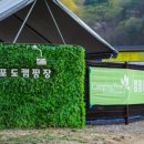 아이비오토캠핑장 | 캠핑아이비 27회 정기캠핑 벚꽃캠핑 강촌포도오토캠핑장