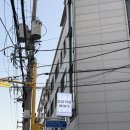 군자 양식 맛집 비스트로민스 소개팅 데이트 장소로 추천 파스타 후기