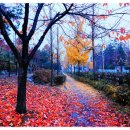 노인종합문화회관 이미지