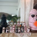 제주에선 쪼끌락 이미지