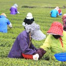 강릉농자재마트 이미지