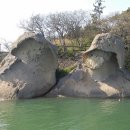 노블렌트카 이미지