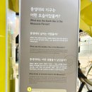 노인(관) | 태백 아이와 가볼만한곳 태백고생대자연사박물관