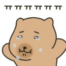 야무진참치 이미지