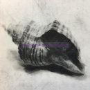 미술의기본스케치 이미지