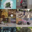 부엉이랜드 이미지