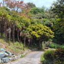 돌틈이 | 거제 돌틈이 해수욕장&amp; 돌틈이 비치 하우스(민박)