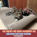 양운로 이미지