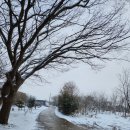 선호카센타 이미지