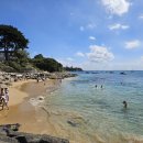 3746 | 멜버른 근교 당일치기 여행, 소렌토 &amp; 포인트 네피언 국립공원 후기