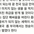온 세상은 광천국 한나라가 될 것이다. 좀비 세력과 좀비되지 않는 세력들이 이미지