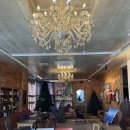 오베르망 이미지