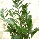 대전만년중학교 이미지