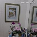 수레지던스 이미지