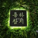 용하초밥참치 이미지
