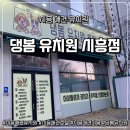 햇빛유치원 | [반려동물] 시흥 애견유치원·호텔·미용 한 번에, 새로 오픈한 댕봄 시흥점 데이케어 후기