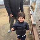 비호농장 이미지