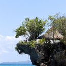 제주보홀 이미지