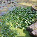 산사가는길 이미지