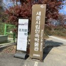 시립푸른하늘 어린이집 | 세종시 근교 가볼만한 곳 <세종 시립민속박물관> 피크닉 힐링 명소로 추천!