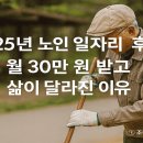 사회적경제일자리센터 | 2025년 노인 일자리 후기｜월 30만 원 받고 삶이 달라진 이유