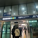 등대약국 앞 | 묵호 다녀왔심