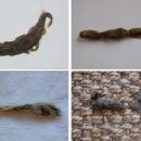 웰동물병원 이미지