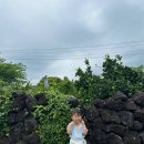 청춘빈대떡 | [2026] 조카랑 제주도 3🏝️ | 편운산장, 유진팡, 귤밭사진관, 청춘부부, 시재시재2, 제주돗