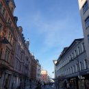 로젠하임 이미지