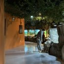 양서·파충류생태공원 아나콘다관 이미지