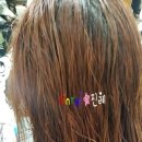 진례미용실 이미지