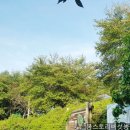 낭산농장 이미지