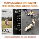 네이처나루 | 강서구강아지교육 독스네이처 - 애개육아 고민해결