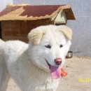 훼미리랜드 이미지