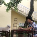 2019-주091 이미지