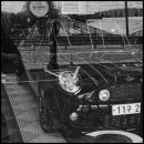 마이온게러지 이미지