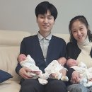 자연-탄생 이미지