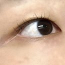 furry house(퍼리하우스) | [수원 권선구] 속눈썹 펌 '퍼리펠트프렌드' 후기. +할인 꿀팁!