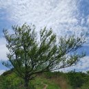 소석농장 | 산행후기_mr.j 17 강진 주작산 3