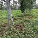 새힘농장 이미지