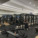 원스피티 이미지