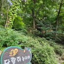 좌구산자연휴양림 이미지