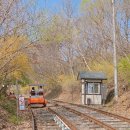 김유정로 | 강촌레일파크 가평 레일바이크 코스 탑승 후기 서울 근교 가평 여행지 가볼만한 곳